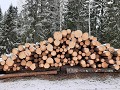 zweden-januari-februari-2023-0102490770