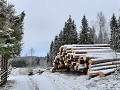 zweden-januari-februari-2023-0102490800