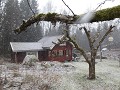 IMG 6551