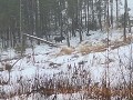 winter-25-0402094320
