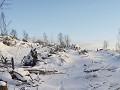 Het elandenspoor vlak bij ons huis