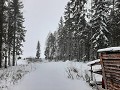 zweden-januari-februari-2023-0801183513
