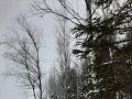 zweden-januari-februari-2023-0801190290