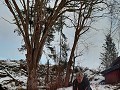 zweden-januari-februari-2023-1202553590