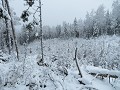 varmland-winter-18-19-1708425100