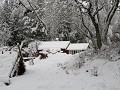 varmland-winter-18-19-1708425677