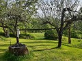 zweden-varmland-voorjaar-zomer-2023-1901171310