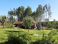zweden-varmland-voorjaar-zomer-2023-1901173370