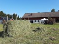 zweden-varmland-voorjaar-zomer-2023-1901183900