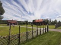 Bergsäng