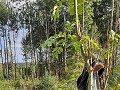 zweden-varmland-voorjaar-zomer-2023-1901194790