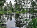 zweden-varmland-voorjaar-zomer-2023-1901201330