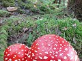 zweden-varmland-voorjaar-zomer-2023-1901202207