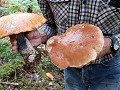 zweden-varmland-voorjaar-zomer-2023-1901202470