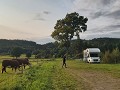 zweden-varmland-voorjaar-zomer-2023-1901204720