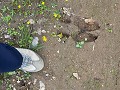 zweden-varmland-voorjaar-zomer-2023-1901205380