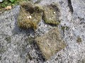 zweden-zomer-2017-3007483277