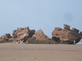 Camels on the beach with some ruins.