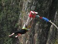 bungee-1006441190