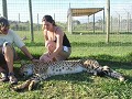 Jac patting a Cheetah.
