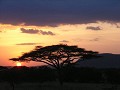 Sunset in the Serengeti.