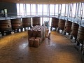 525 Santa Cruz - De eerste stap in het wijnproces 