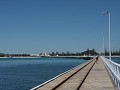 IMG 1016