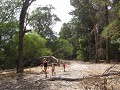 IMG 5505