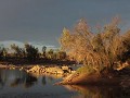 IMG 2274