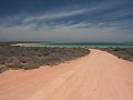 IMG 2508