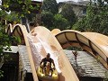 IMG 5196