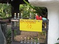 IMG 3555