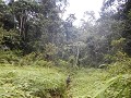 Kalimantan 023