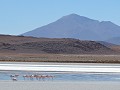 Uyunitour - Het Hedionda meertje