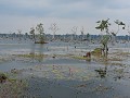 Siem Reap - Tempels dag 3 - Neak Pean - Waterreser