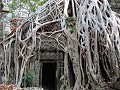 Siem Reap - Tempels dag 3 - Ta Prohm