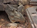 Siem Reap - Tempels dag 4 - Beng Melea - Naga