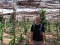 Kampot - Peperproductie - Gepeperde Koen