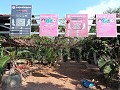 Kampot - Peperproductie