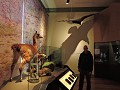 Valparaiso - museum van natuurwetenschappen
