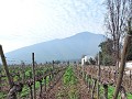 Maipo vallei - Wijndomein Santa Rita
