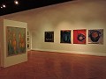 Santiago de Chili - Museum voor schone kunsten
