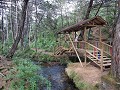 Medellin - Arvi park
