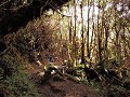Salento - Paramo trek