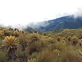 Salento - Paramo trek