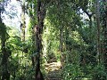 Ciudad Perdida
