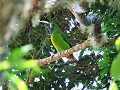 San Gerardo - Cerro Chirripo national park