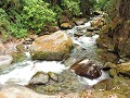 San Gerardo - Cloudbridge natural park