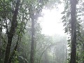 Monte Verde - Natural Reserve