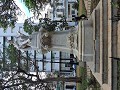 Havana - standbeeld van Cervantes